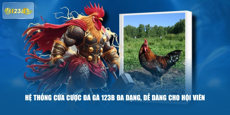 Hệ Thống Cửa Cược Đá Gà 123B Đa Dạng, Dễ Dàng Cho Hội Viên